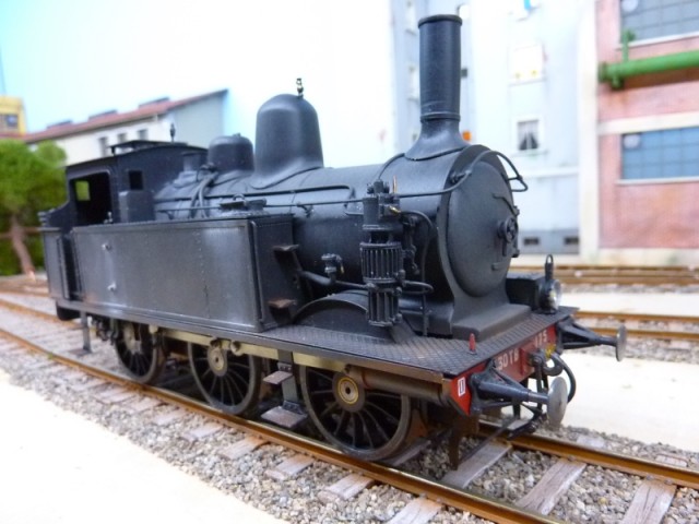 P1150997 (800x600).jpg