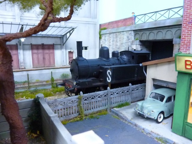 P1160005 (800x600).jpg