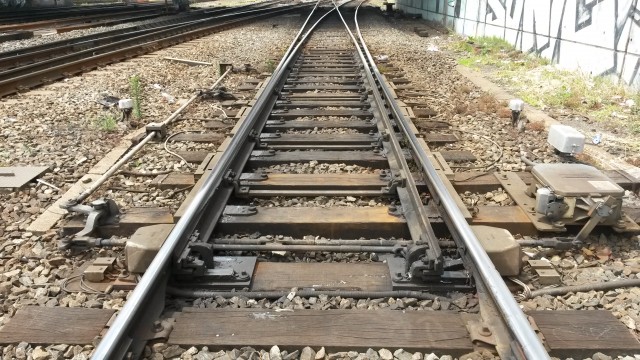 20160621_132304.jpg