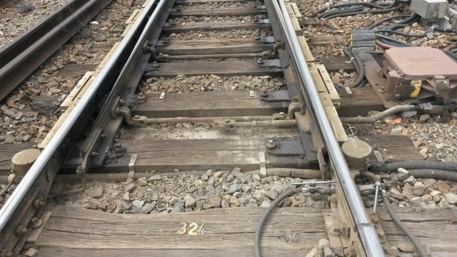 20160621_140200.jpg