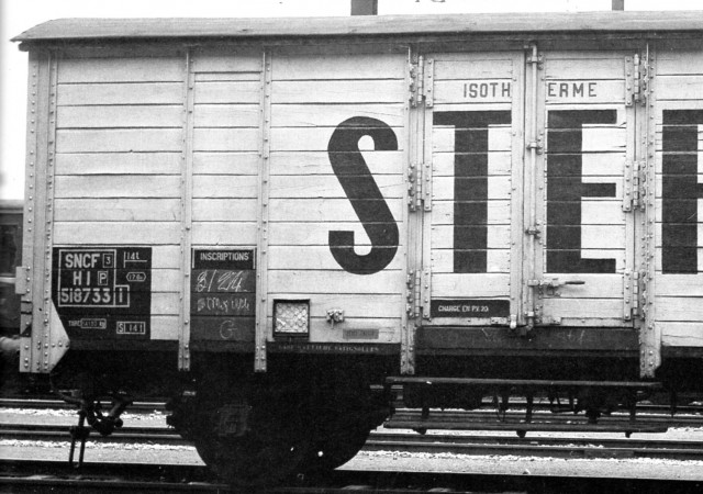 STEF-OCEM.jpg