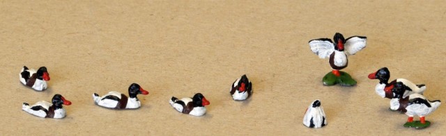 Fuligules Morillons