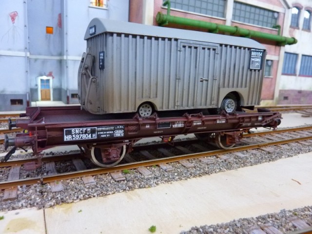 P1160546 (800x600).jpg
