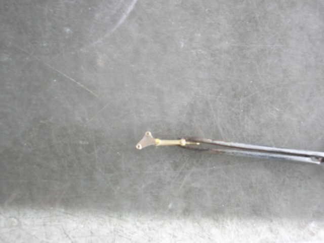 DSCN8730.JPG