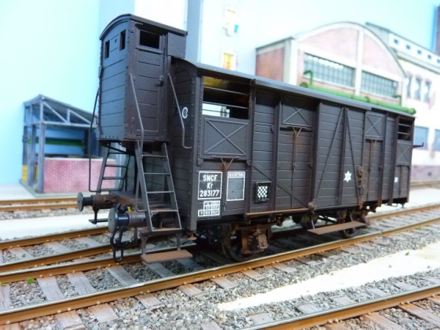 P1160648 (800x600).jpg