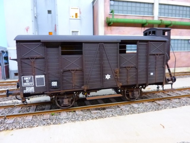 P1160651 (800x600).jpg