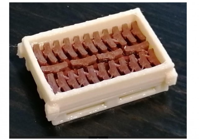 palette semelles zéro.jpg