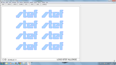 logo stef allongé.png