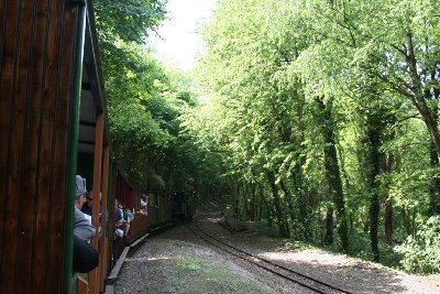 IMG_4551.JPG
