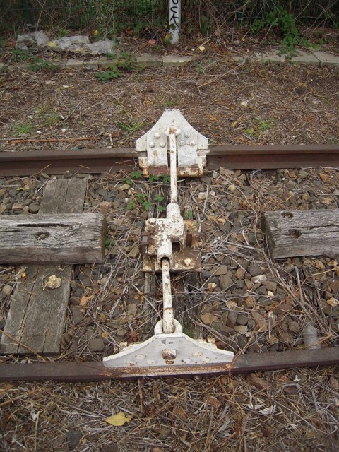 DSCN2620.JPG