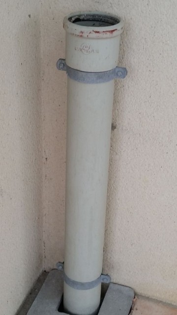 WB163561562_1.jpeg