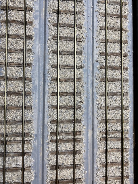 IMG_8779.jpeg