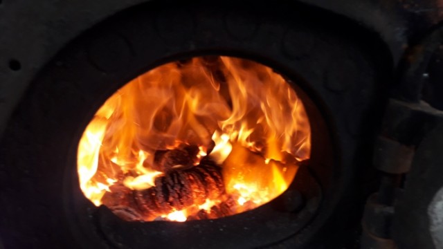 20210617_131514.jpg