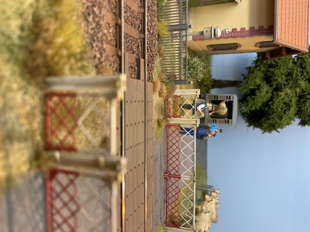 IMG_0595.jpeg