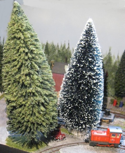 sapins.jpg
