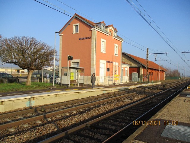 MEURSAULT  Visite sur place jpg.jpg