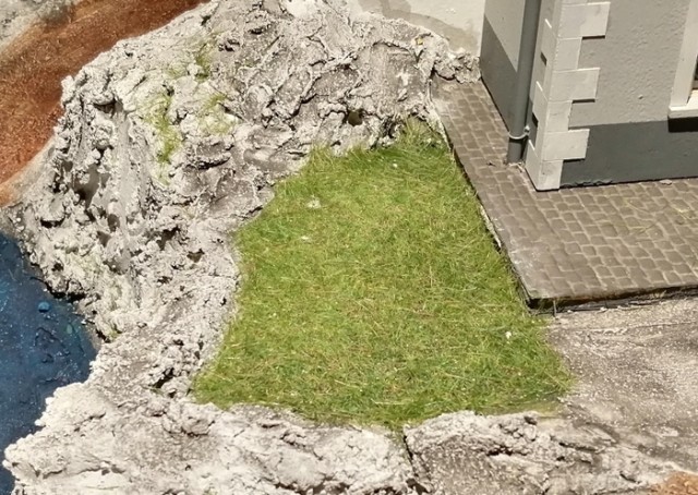 grass 2.jpg