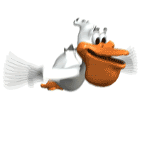 Pelicanflying-animation.gif