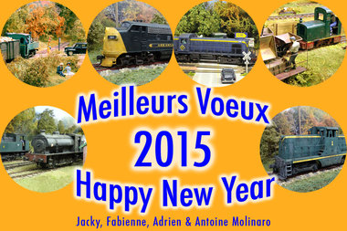 Meilleurs Voeux 2015.jpg