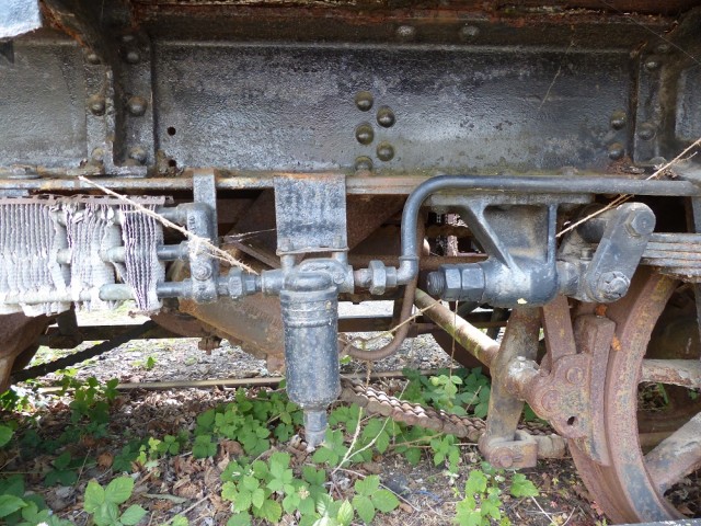 P1070495.JPG