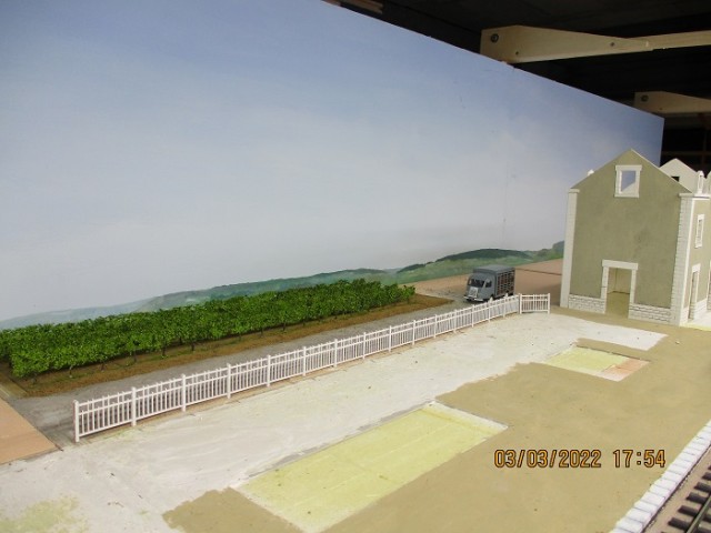 vignes 72 2.jpg