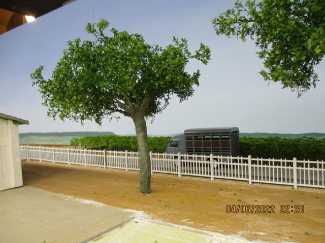 arbre. 2 jpg.jpg