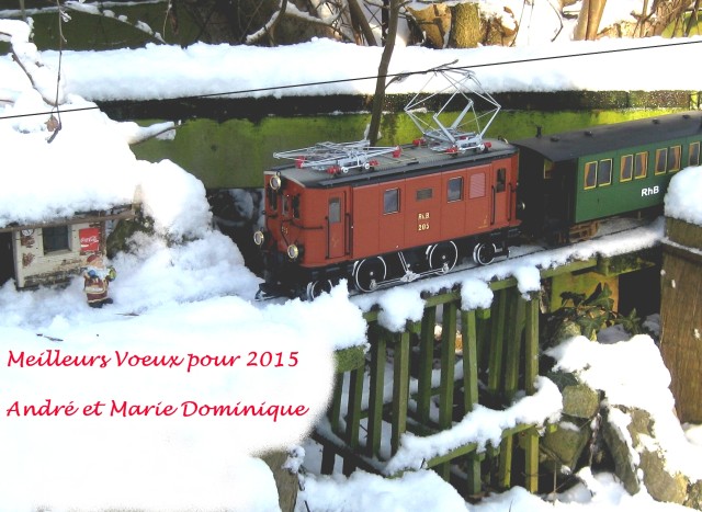 voeux 2015 amd.jpg