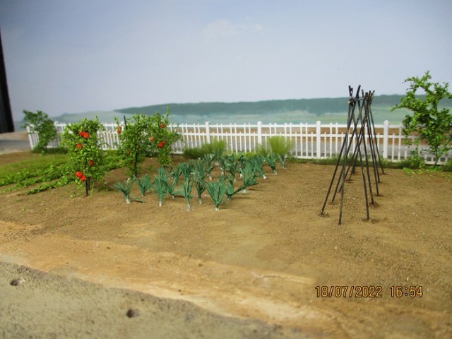 jardin poireaux.jpg