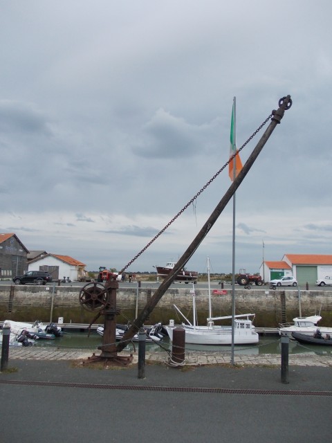 Grue réelle