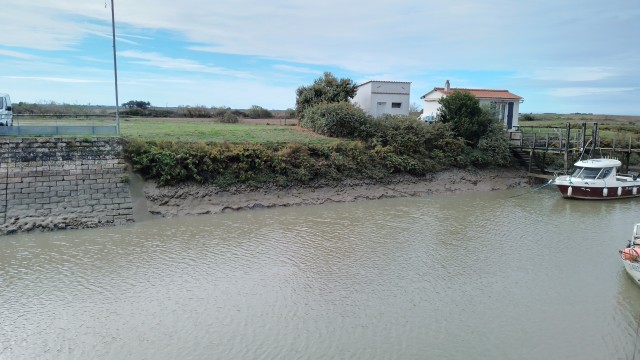 Ligne d'estran