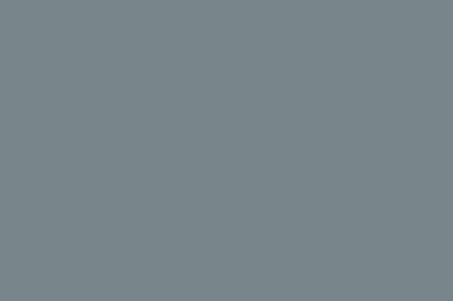 SNCF Gris bleuté 858 - RAL7000.jpg