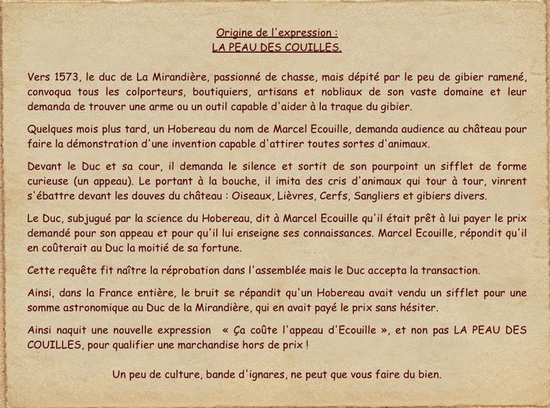 Image 1.jpg