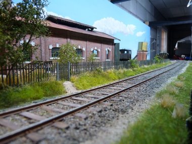 herbe 2.jpg