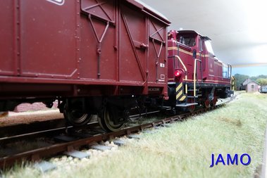 Oli-2015-07.jpg