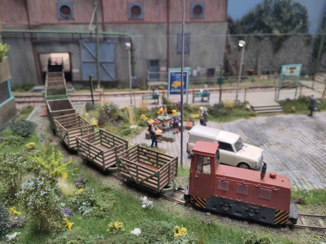 IMG_20240616_151501.jpeg