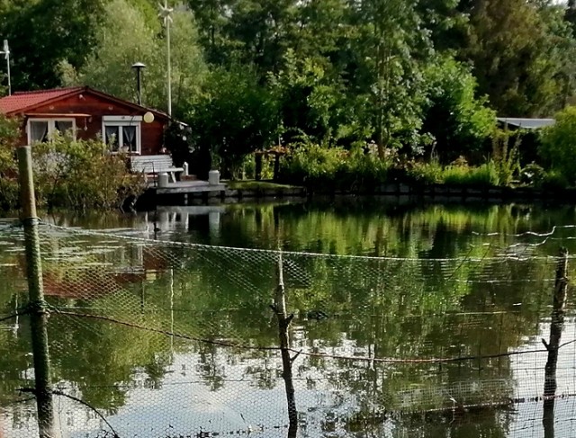 horti 2.jpg