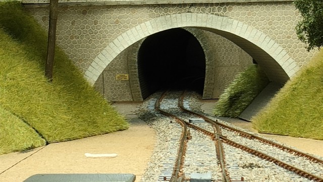 IMG20240806175116.jpg