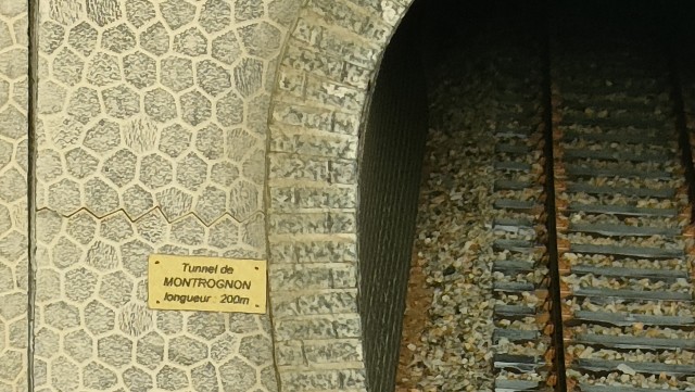 IMG20240806175212.jpg