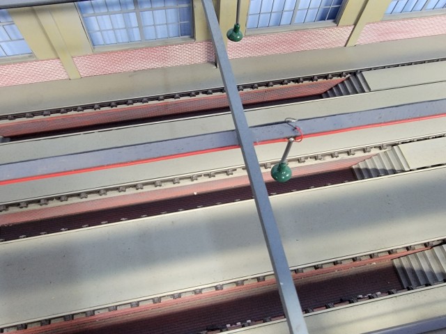 20240909_154155.jpeg