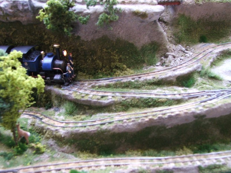 La loco tractant sa voiture dans le Z.
