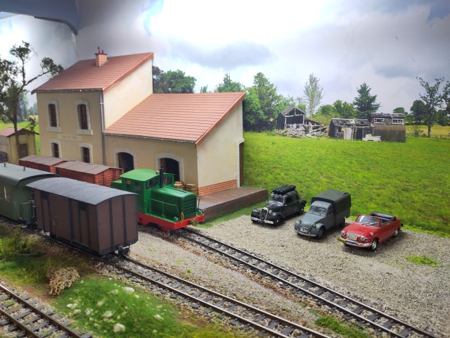 IMG_20241005_144825.jpeg