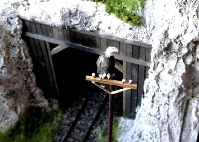 aigle 1.jpg
