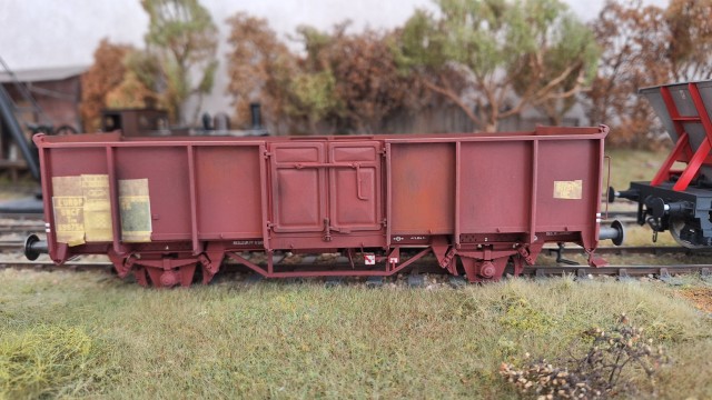 20241013_170130.jpg