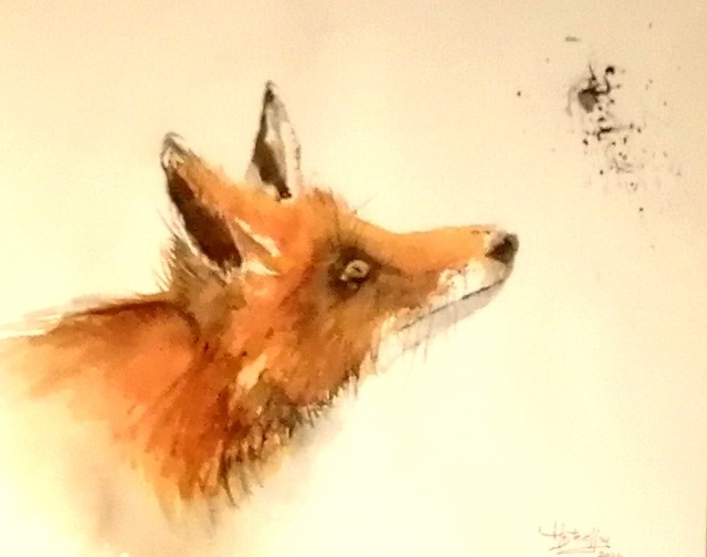 renard.jpg