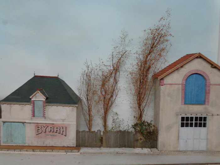 arbres.JPG