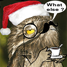 Potoo-Coffee-Noel.jpg