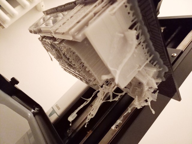 20250119_081147.jpg