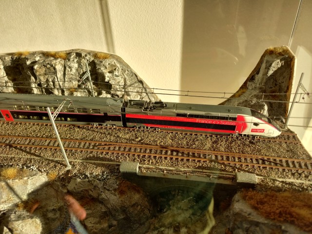 20240511_194811.jpg