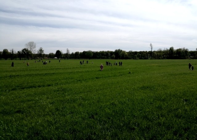 chasse.jpg