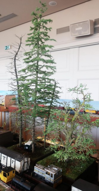 Robert Goyvaerts arbres !